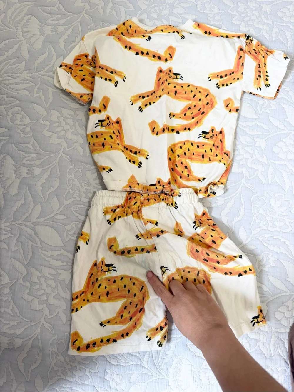 Zara 4T boy set jaguar matching set